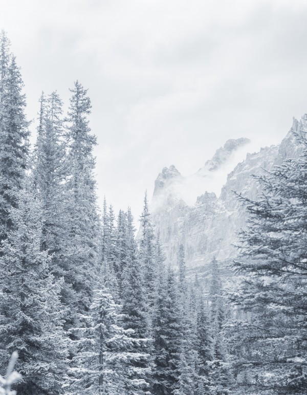 Winter by Marko Radovanovic